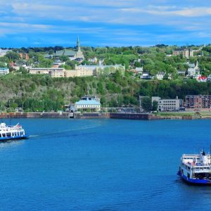 Cruise Ship Management